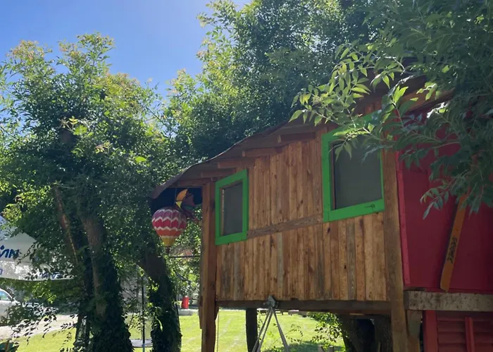 By Baza Academic Golden Sands