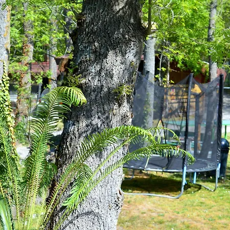 By Baza Academic Apartment