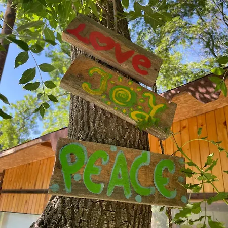 By Baza Academic Appartement