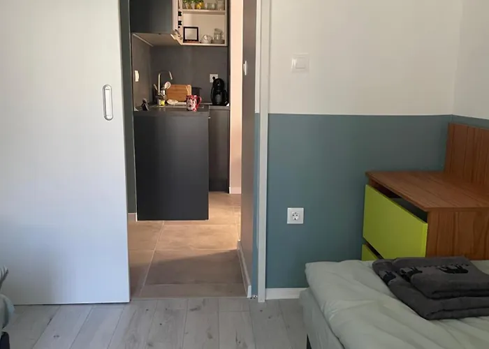 By Baza Academic 公寓 *