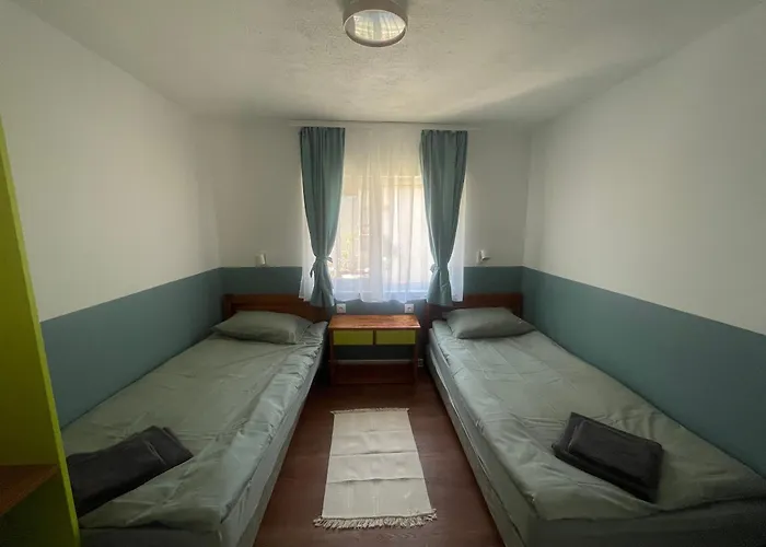 By Baza Academic 金沙