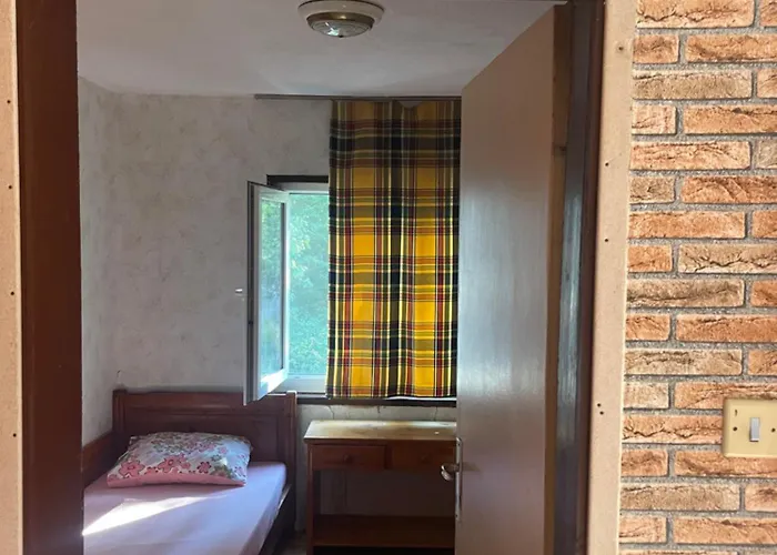 By Baza Academic 金沙